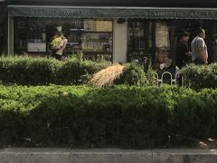 -德州小高糖炒栗子(十三局店)