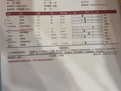 -伟伟宠物医院·瑞派猫友好医院·猫科(光谷店)