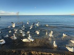 -青海湖国家重点风景名胜区