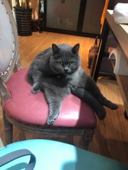 -EasyLady美甲沙龙