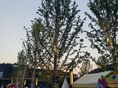 -雅达·阳羡溪山小镇中心