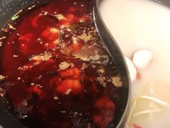 -新辣道鱼火锅(西直门店)