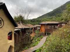 -天门沟九州驿站树上汤泉