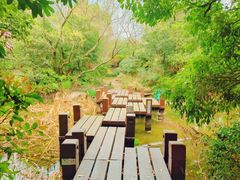 -桃花岛景观公园