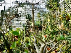 -国家植物园南园