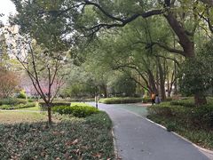 -徐家汇源景区-衡山公园