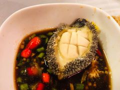 -鲜入围煮花胶鸡海鲜火锅