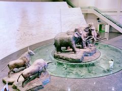 -大庆市博物馆