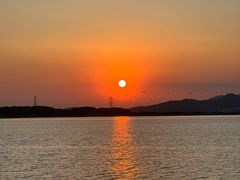 -汕尾风车岛