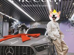 -上海星瀚奔驰4S店(红柳路店)