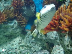 -福州罗源湾海洋世界旅游区