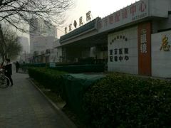 -中国中医科学院望京医院(院本部)
