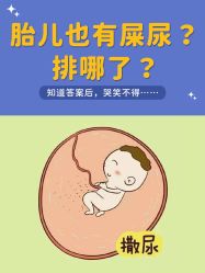 点击看大图 -杭州贝瑞斯美华妇儿医院·早孕·产检·儿科