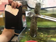 趴趴虾-ZF Seafood Restaurant 卓峰海鲜餐