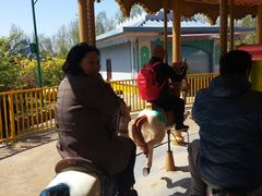 -济南方特东方神画