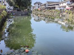 -东梓关景区村庄