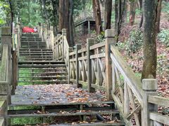 -南宁良凤江国家森林公园