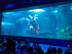 -多彩贵州城极地海洋世界