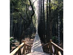 -同里国家湿地公园