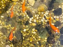 -邈墨茶馆(凤起路店)