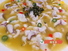 青花椒味砂锅鱼-青花椒花椒鱼(合生汇店)