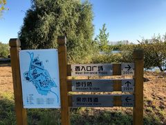 -东郊湿地公园