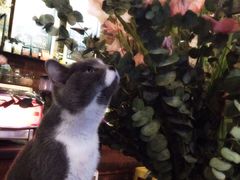 -MIKAKU(万达广场上海宝山店)