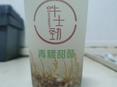 -德禄酸奶(莫家街店)