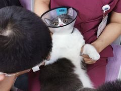 -宠颐生中康贝怡动物医院