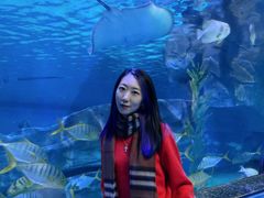 -泉城欧乐堡海洋极地世界