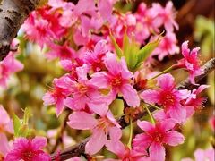 -龟山风景区-龟山电视塔