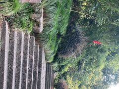 -杭州西湖风景名胜区-三生石