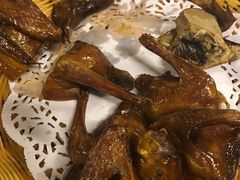 -百利鸽王(紫薇路店)