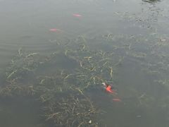 -前关湿地公园