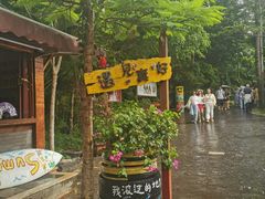 -亚龙湾热带天堂森林公园