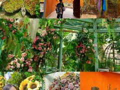 -正佳雨林生态植物园