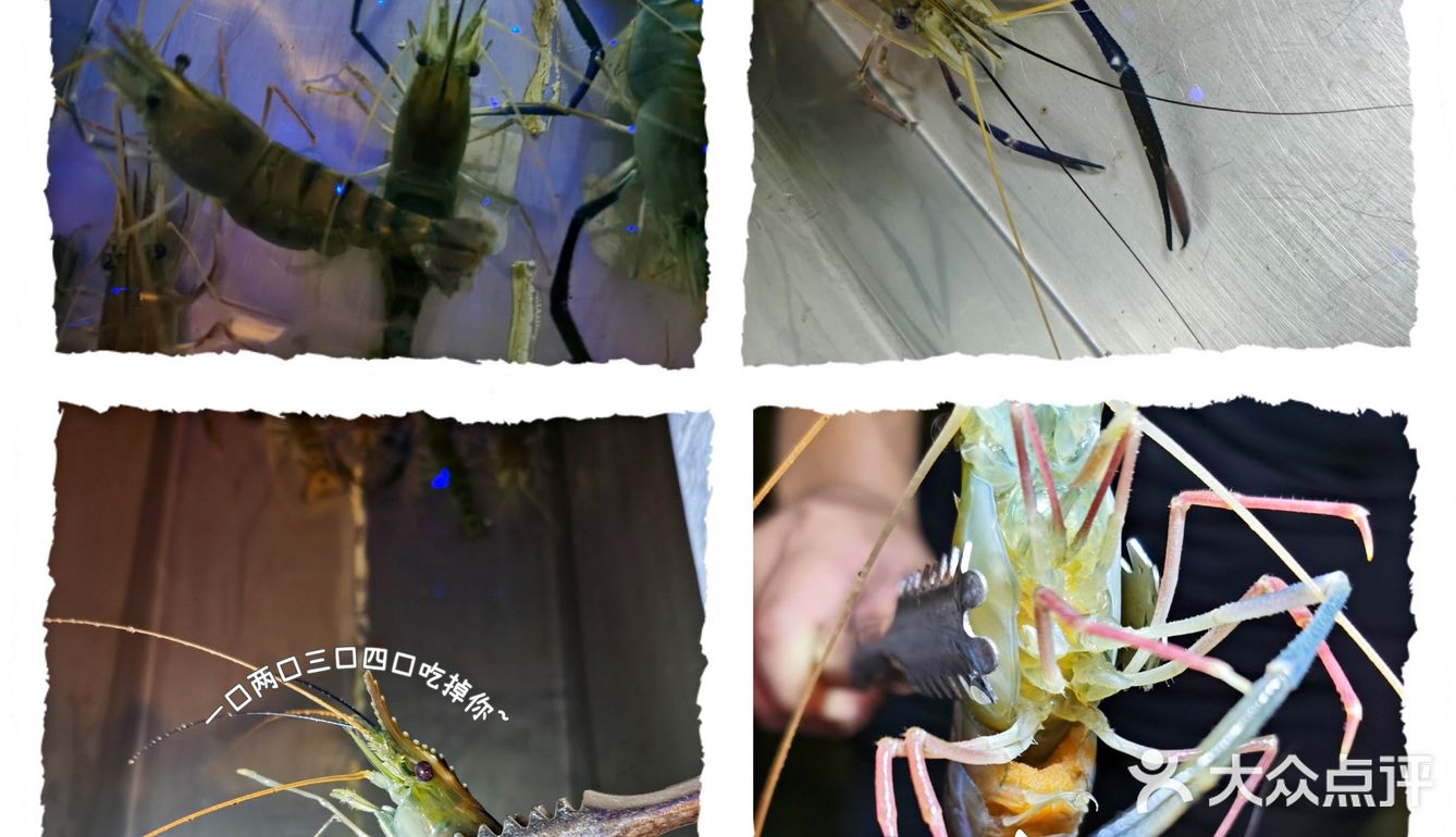 南宁首家罗氏虾主题餐厅 捞活虾真快乐[加油][加油]