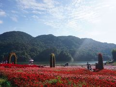 -广州市石门国家森林公园