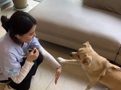 -瑞派申生动物医院·24H夜诊·国际动物医疗中心·骨外科(吴中路店)