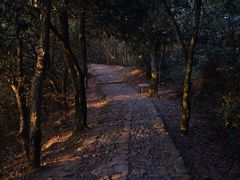 -西湖风景区十里琅珰-五云山