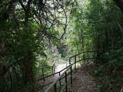 -YHA赛马会摩星岭青年旅舍(香港岛)