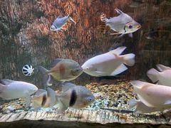 -多彩贵州城极地海洋世界