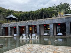 -日落吧·海景咖啡厅·餐酒吧·鸡尾酒·下午茶·乐队表演·浪漫夕阳·三亚文华东方酒店