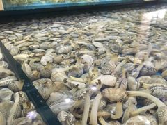 -福泉海码头(六里山店)