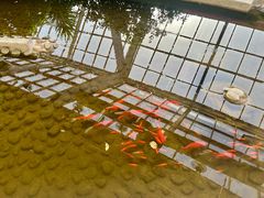 -红栌温泉山庄生态美食餐厅