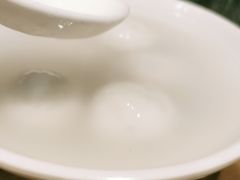 -海丝金凤(金鱼店)