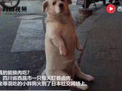 -澳门旅游塔360°旋转餐厅(南湾湖广场店)