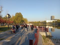 -西海子公园