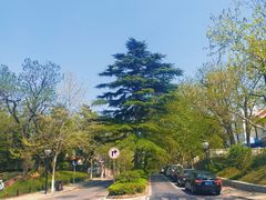 -八大关景区
