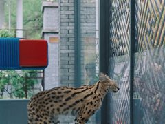 -北京野生动物园